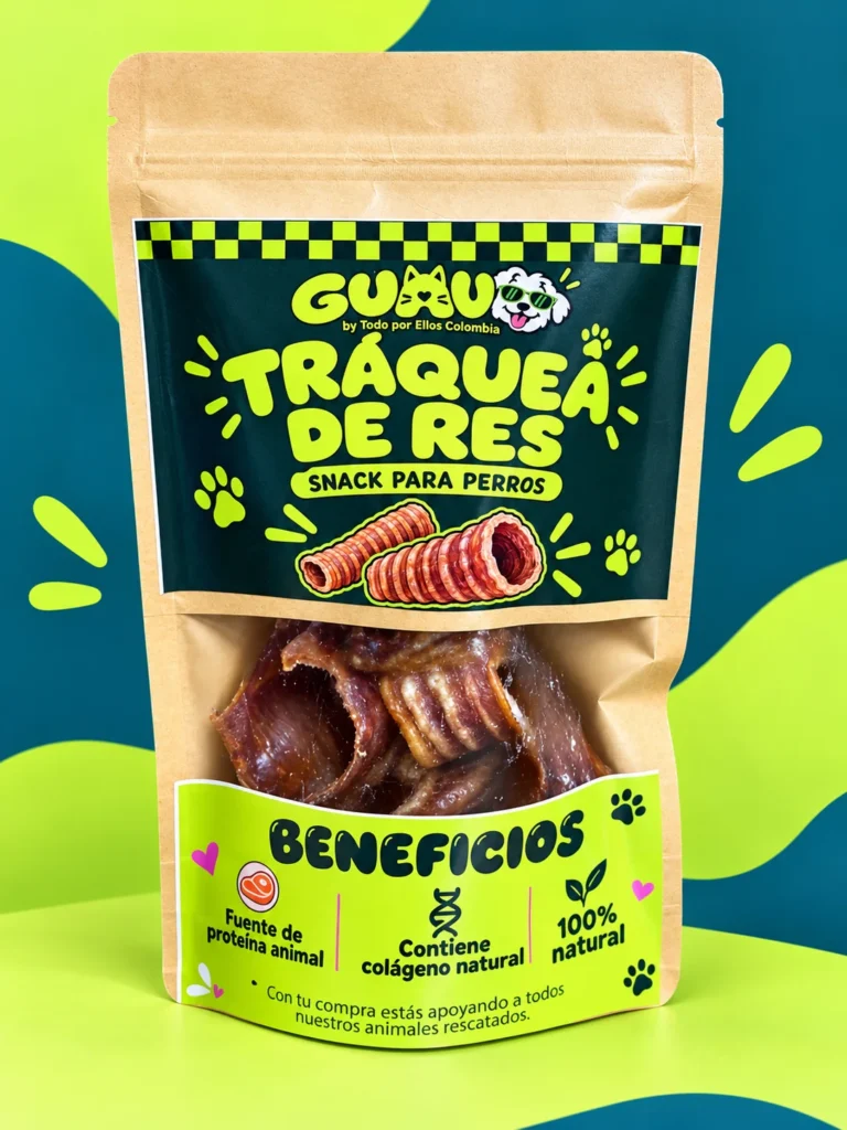 Tráquea de res